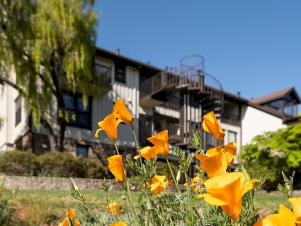 Wine Country Inn & Cottages Napa Valley