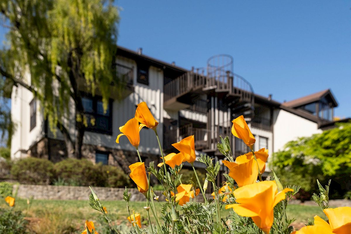 California Residents Staycation Wine Country Inn